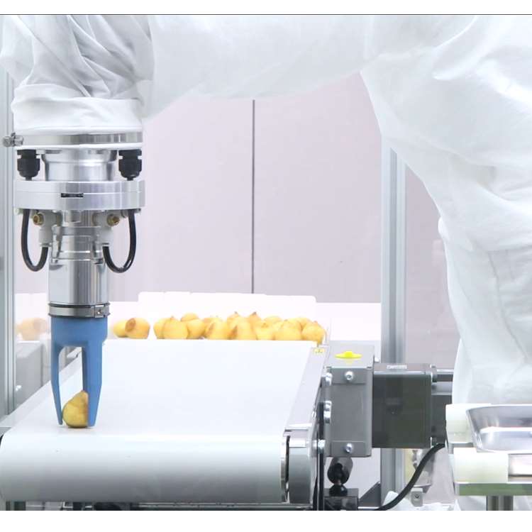 6-Axis CNC Robotic Arm with Li - Linear Rail review and price